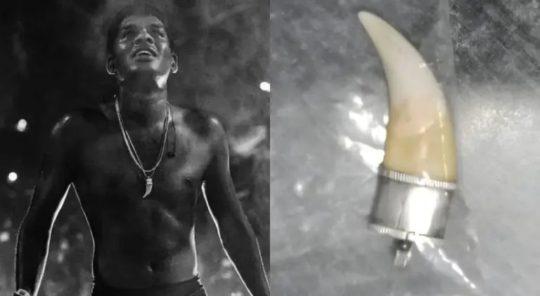 മാലയിലെ പുലിപ്പല്ല്; വേടന്റെ അറസ്റ്റ് രേഖപ്പെടുത്തി വനംവകുപ്പ് 3 tiger-tooth-found-in-necklace-forest-department-officially-records-vetans-arrest