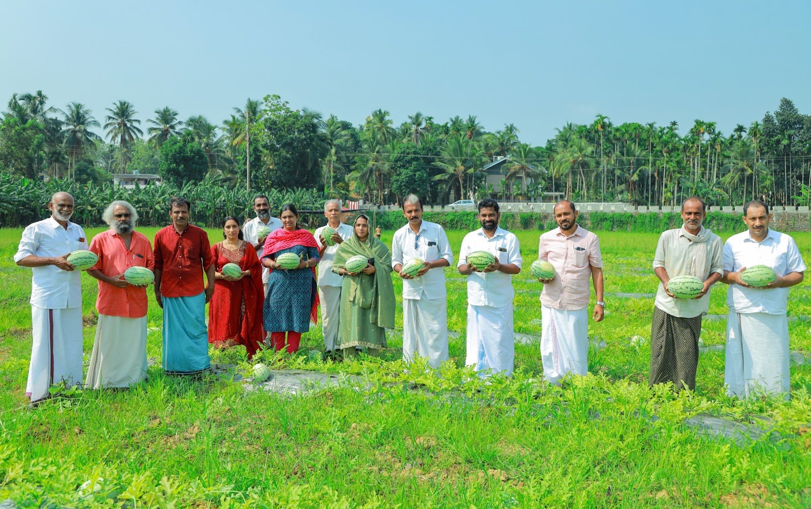chennamangallur-pulparambu-to-welcome-refreshing-tender-coconut-days