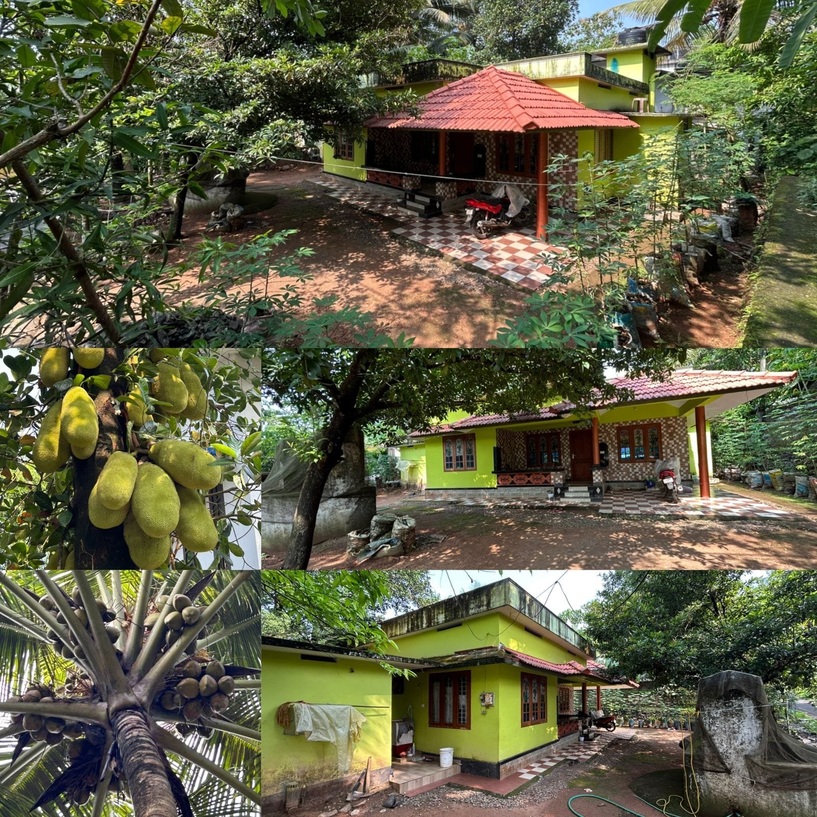 house-and-land-for-sale-in-nellanichal