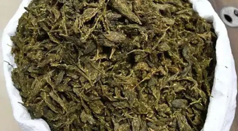 Kozhikode കോഴിക്കോട് വൻ കഞ്ചാവ് വേട്ട 4 kozhikode massive ganja seizure in kozhikode