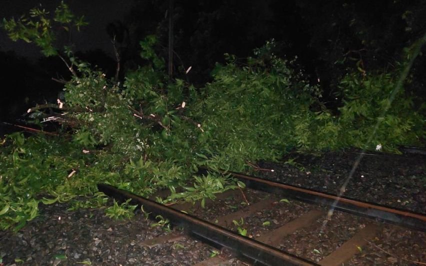 Kozhikode കനത്ത കാറ്റില് റെയില്വേ ട്രാക്കിലേക്ക് മരങ്ങള് കടപുഴകി വീണു. ട്രെയിൻ ഗതാഗതം തടസപ്പെട്ടു 3 kozhikode trees uprooted onto railway tracks due to strong winds train services disrupted