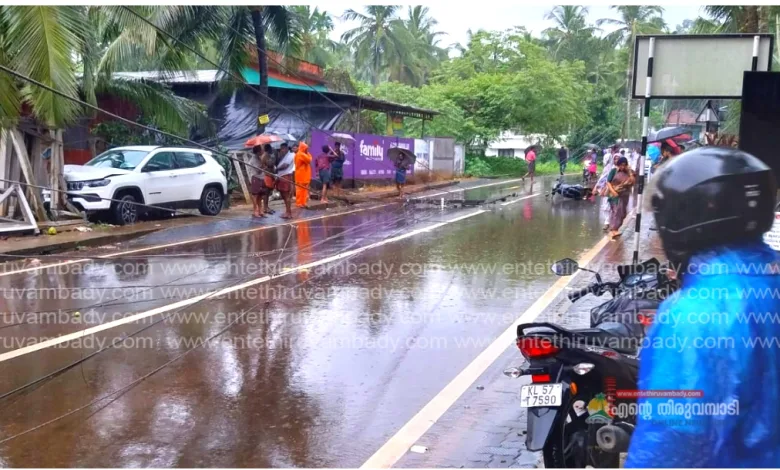 kseb-thiruvambady-section-special-notice