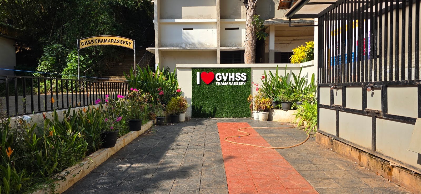 thamarassery-higher-secondary-school-achieves-remarkable-success