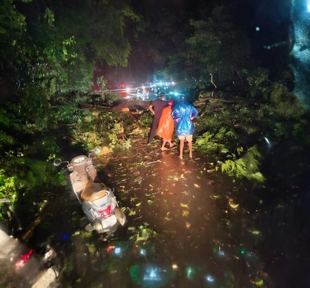 tree removed after falling on the pass but traffic congestion continues