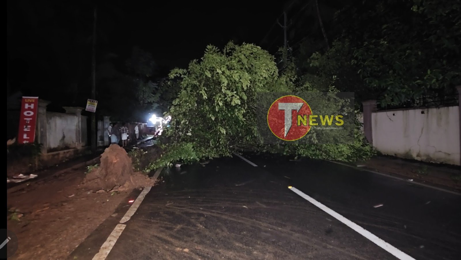 a-tree-fell-across-the-thamarassery-mukkam-road-disrupting-traffic