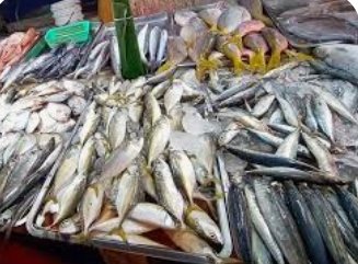 fish-caught-off-the-kerala-coast-is-safe-for-consumption-says-the-institute-of-fisheries-technology