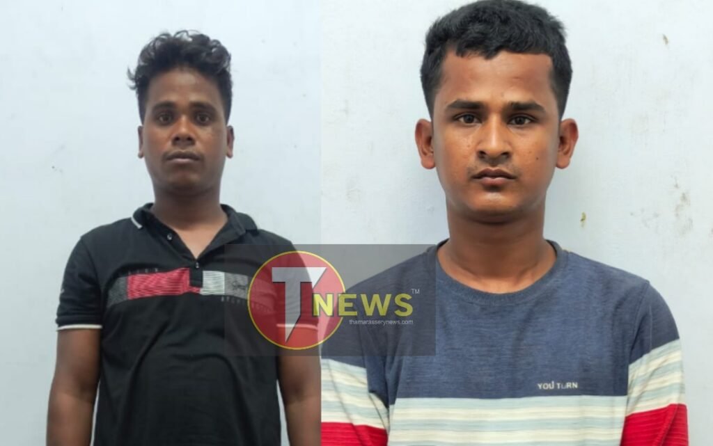 Kozhikode നഗരത്തിൽ വൻ കഞ്ചാവ് വേട്ട, ഒഡീഷ സ്വദേശികൾ പിടിയിൽ 10 major ganja seizure in kozhikode city odisha natives arrested