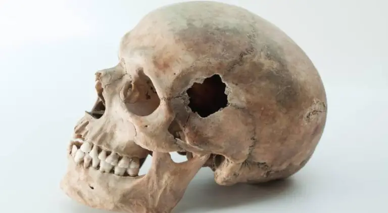 skull in a big shopper bag skull and bones found inside kozhikode medical college compound