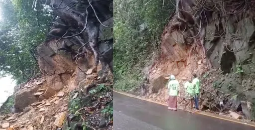 Thamarassery ചുരത്തിൽ മരം നിലംപൊത്താറായ നിലയിൽ; നിയന്ത്രണം ഏർപ്പെടുത്തി പോലീസ് 2 thamarassery a tree is on the verge of falling at thamarassery churam police impose traffic restrictions