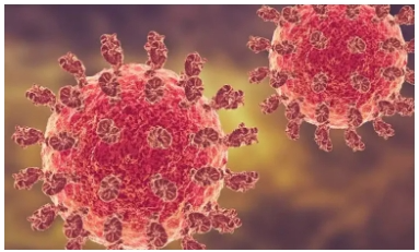 another-nipah-death-confirmed-18-year-old-girl-who-died-in-mankada-tested-positive-for-nipah