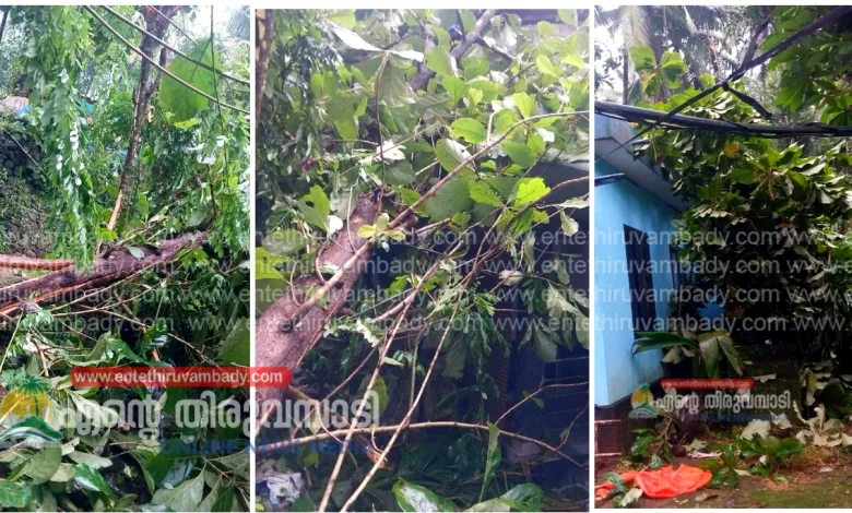 heavy wind and rain in the hilly region of koodaranji several houses damaged