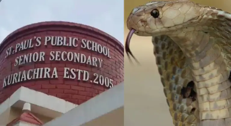 thrissur school cobra spotted under desk students escape by a whisker