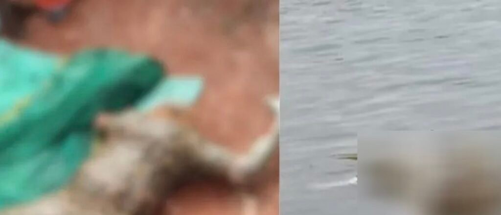 Vadakara മാഹി കനാലിൽ സ്ത്രീയുടെ മൃതദേഹം കണ്ടെത്തി 6 vadakara womans body found in mahe canal