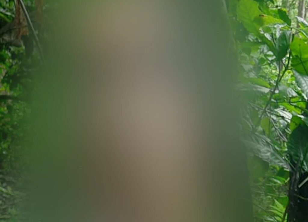 Wayanad സ്വകാര്യ വ്യക്തിയുടെ തോട്ടത്തിൽ അജ്ഞാത മൃതദേഹം കണ്ടെത്തി 2 wayanad an unidentified dead body was found in a private plantation