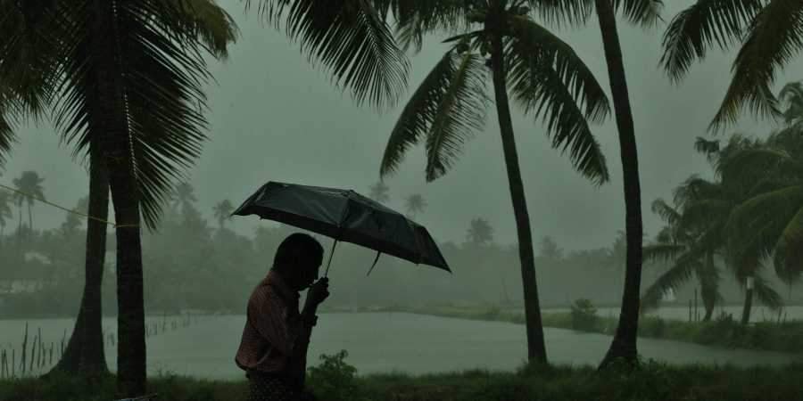 അടുത്ത അഞ്ചു ദിവസത്തേക്ക് വ്യാപക മഴ, ഒൻപതു ജില്ലകളിൽ യെല്ലോ അലെർട്ട് 9 widespread rain for the next five days yellow alert in nine districts