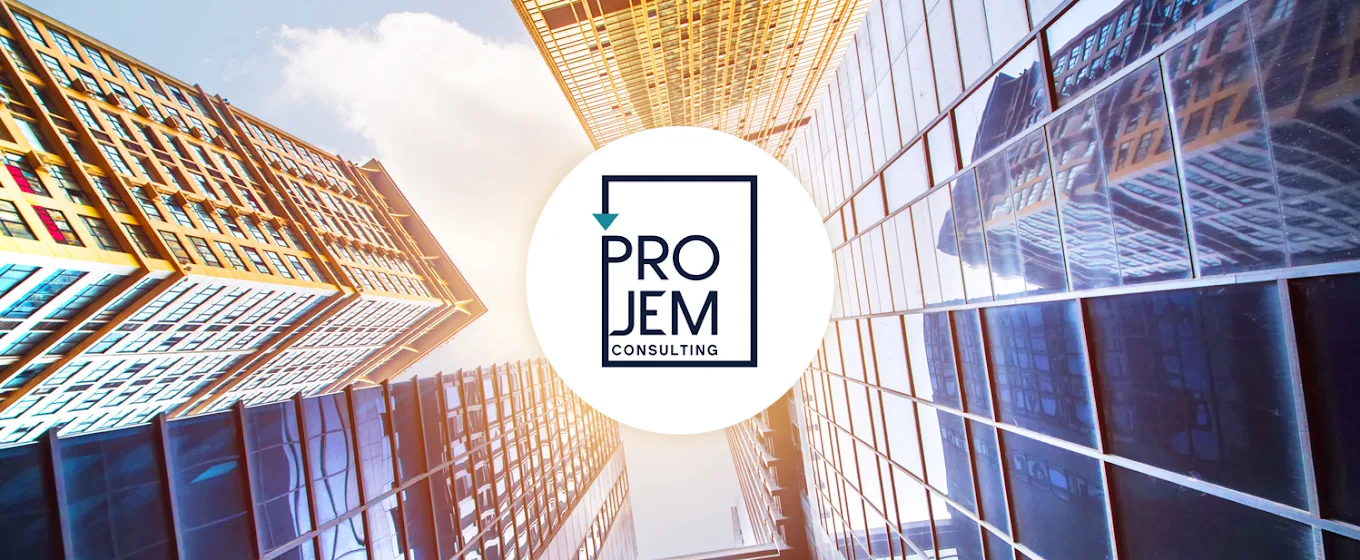 Projem Consulting Pvt Ltd
