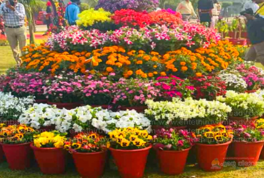 Kozhikode ന് പുഷ്പകാലം; ബേപ്പൂർ ബീച്ചിൽ ഫ്ലവർ ഷോ സെപ്റ്റംബർ ഒന്ന് മുതൽ 12 kozhikode in bloom flower show at beypore beach from september 1