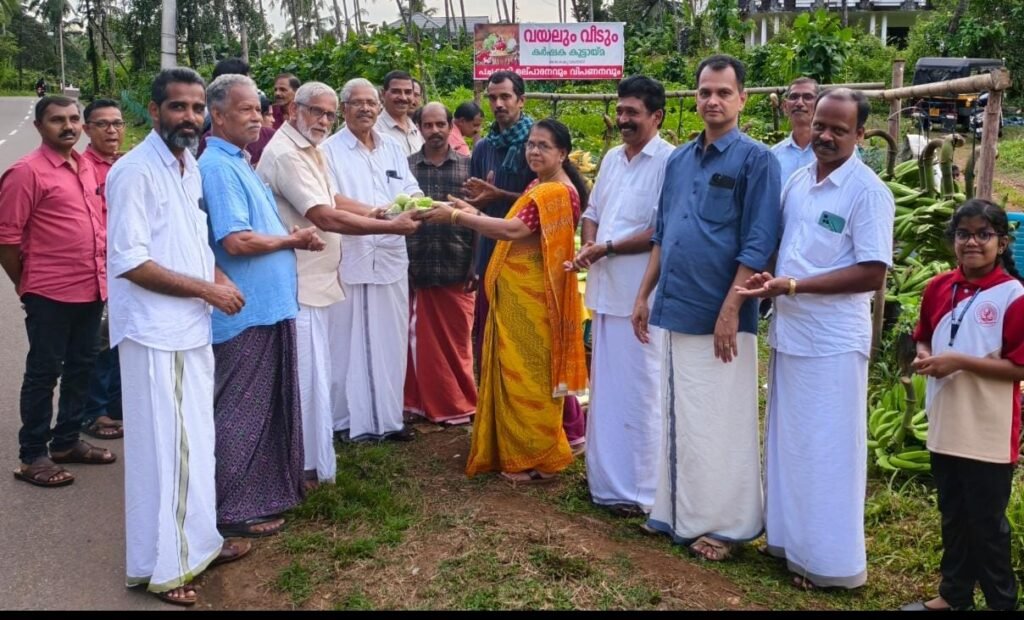 Koodaranji വയലും വീടും കർഷക കൂട്ടായ്മയുടെ പച്ചക്കറി വിപണി ഉദ്ഘാടനം 12 koodaranji vayalum veedum farmers collective vegetable market inaugurated