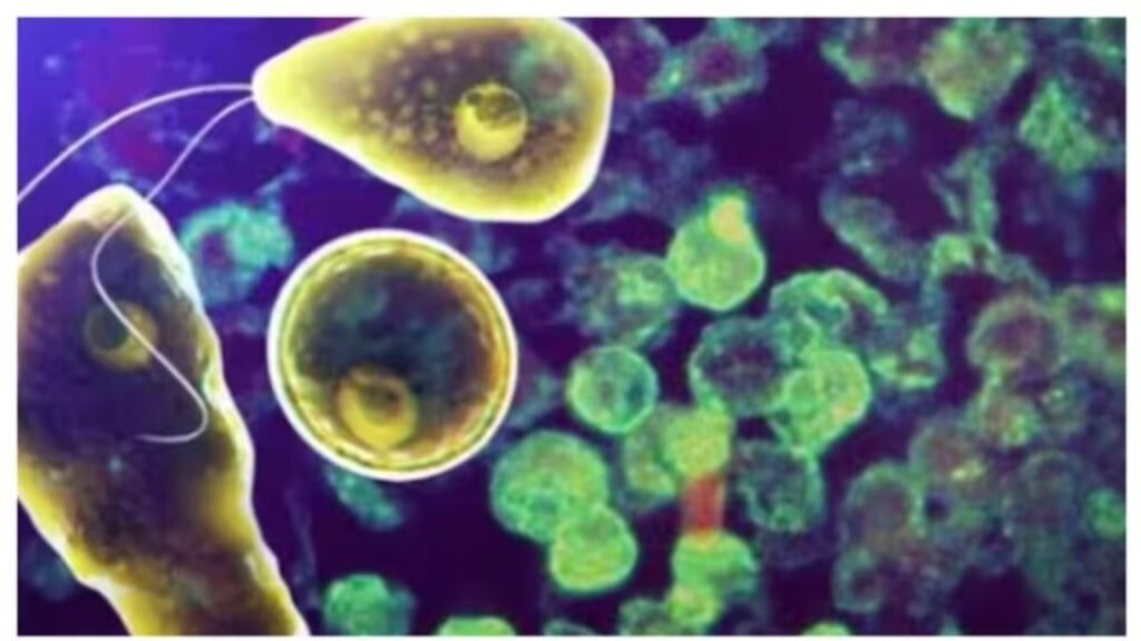 kozhikode amoebic meningoencephalitis 3 month old baby also dies