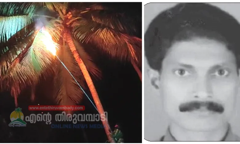 madavoor-coconut-tree-climbers-death-from-hornet-attack-dangerous-nest-destroyed