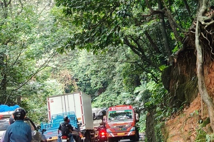 Thamarassery ചുരത്തിൽ അപകടഭീഷണി സൃഷ്ടിക്കുന്ന മരങ്ങൾ അടിയന്തരമായി മുറിച്ചു മാറ്റണം-യൂത്ത് ലീഗ് 7 thamarassery trees creating accident hazards at the thamarassery churam should be urgently cut and removed youth league