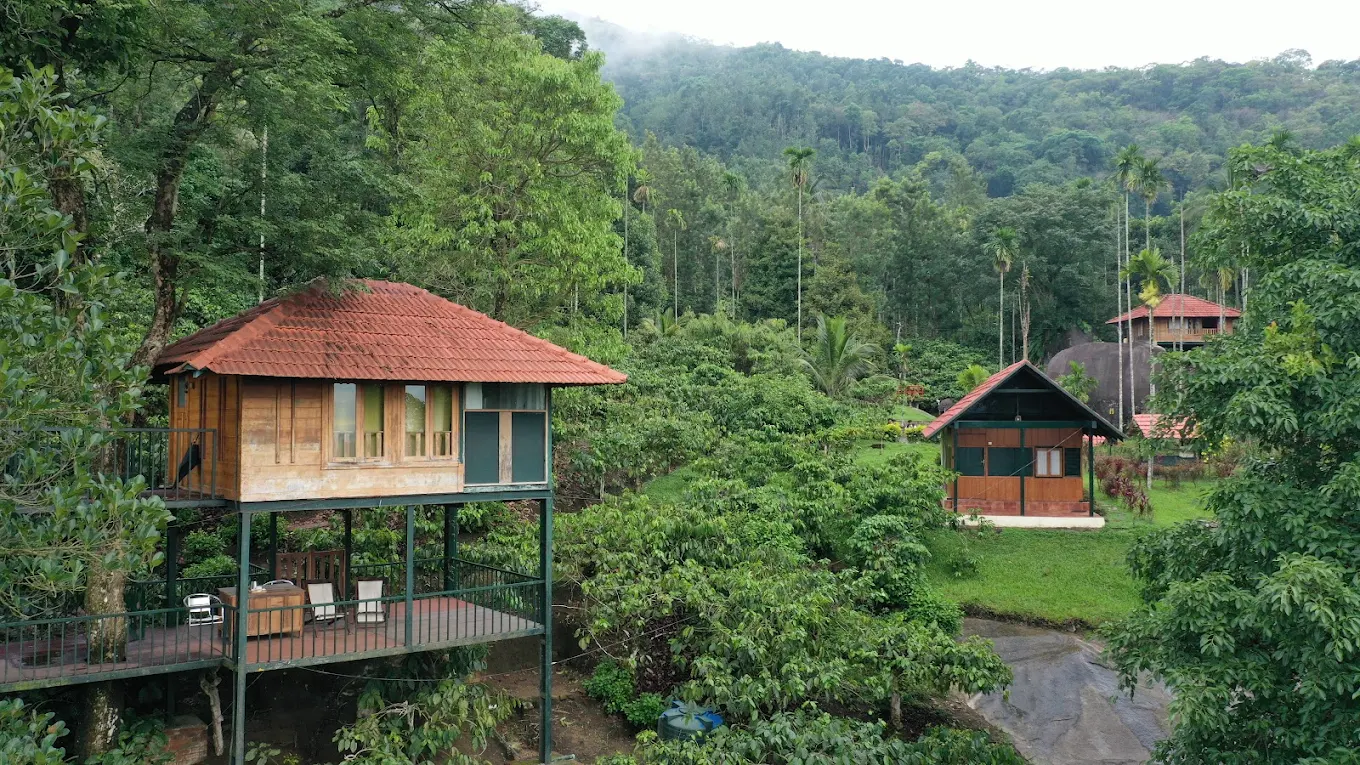 Avadale Wayanad (Stag Groups Not Allowed)