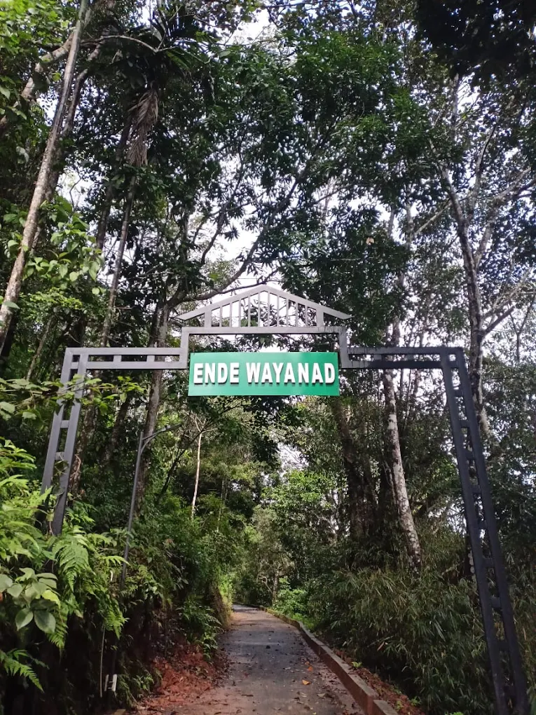 Ende Wayanad Resorts