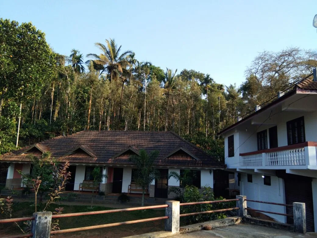 Hill Rows Estate in Wayanad