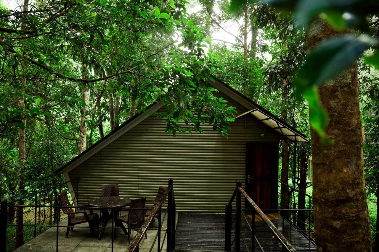 Jungle Beats Resorts in Wayanad