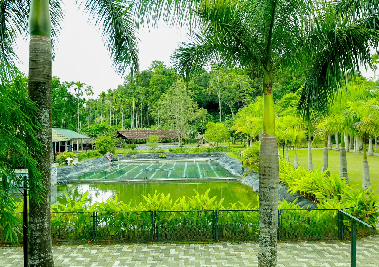 The Hill District Club Wayanad