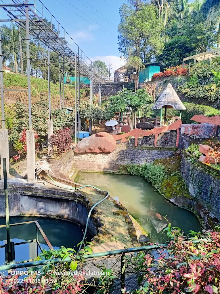 The Royal Stream Wayanad