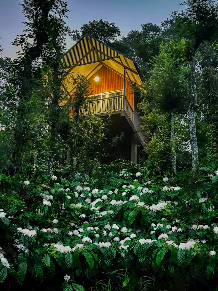 Wayanad Whistling Woods