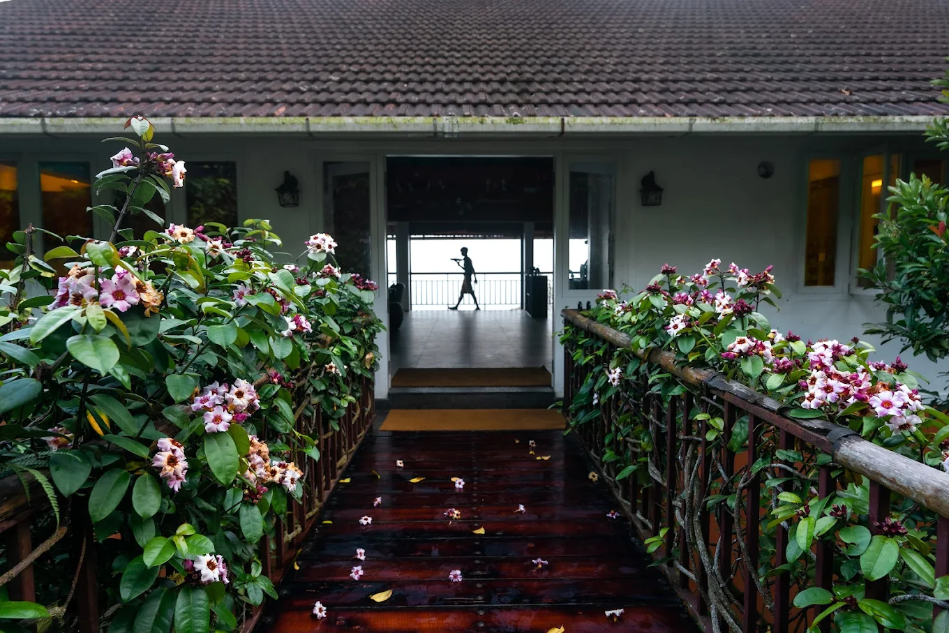 After The Rains Rainforest Lodge, Wayanad
