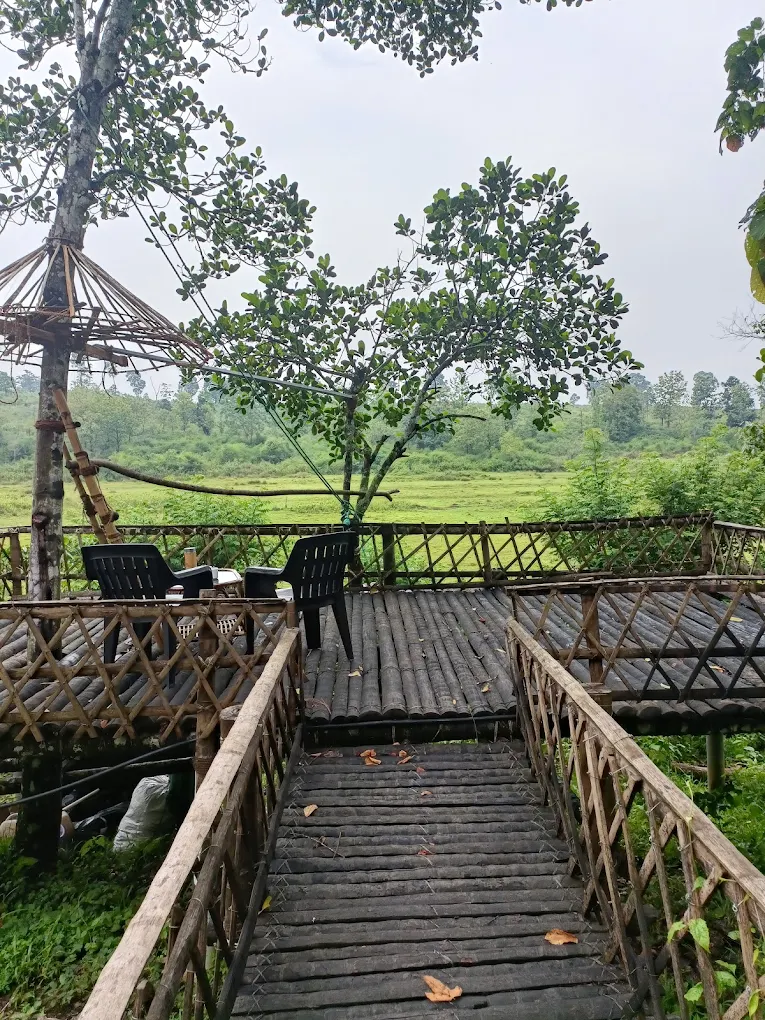 Lotus Jewel Tours and Resorts Pvt Ltd( Lotus Jewel Forest Camping) Wayanad