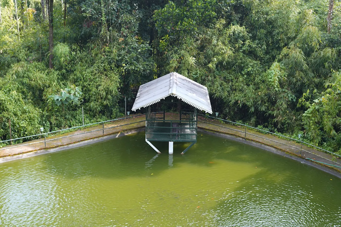 Silver Spring vythiri