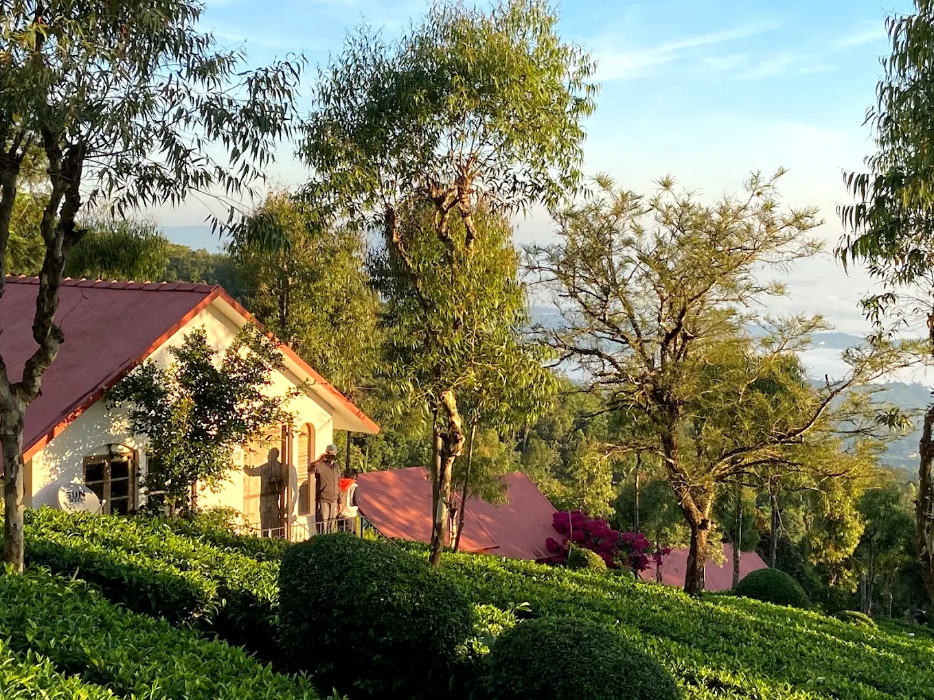 Tea Terrace Vythiri Resort Wayanad