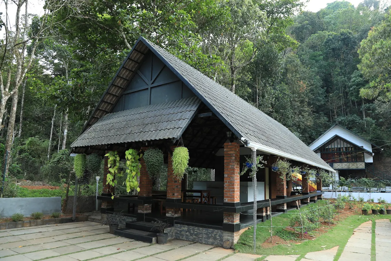 Wayanad brook valley
