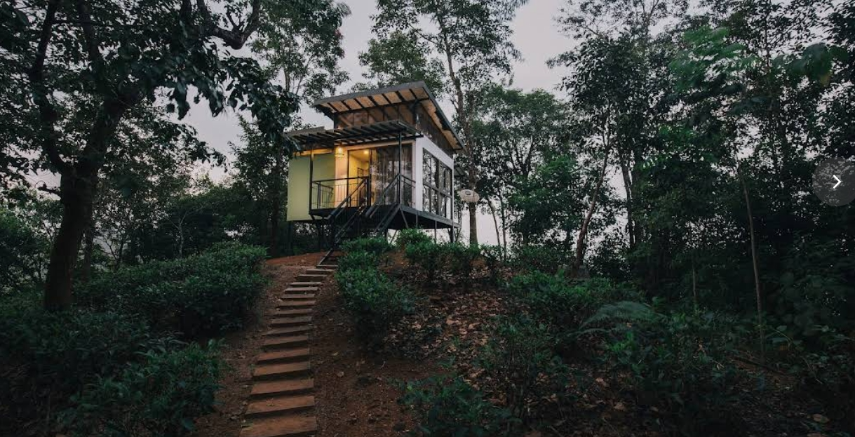 Chateau Woods Wayanad