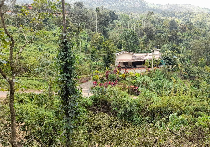 Nayadampoyil Resorts Kakkadampoyil