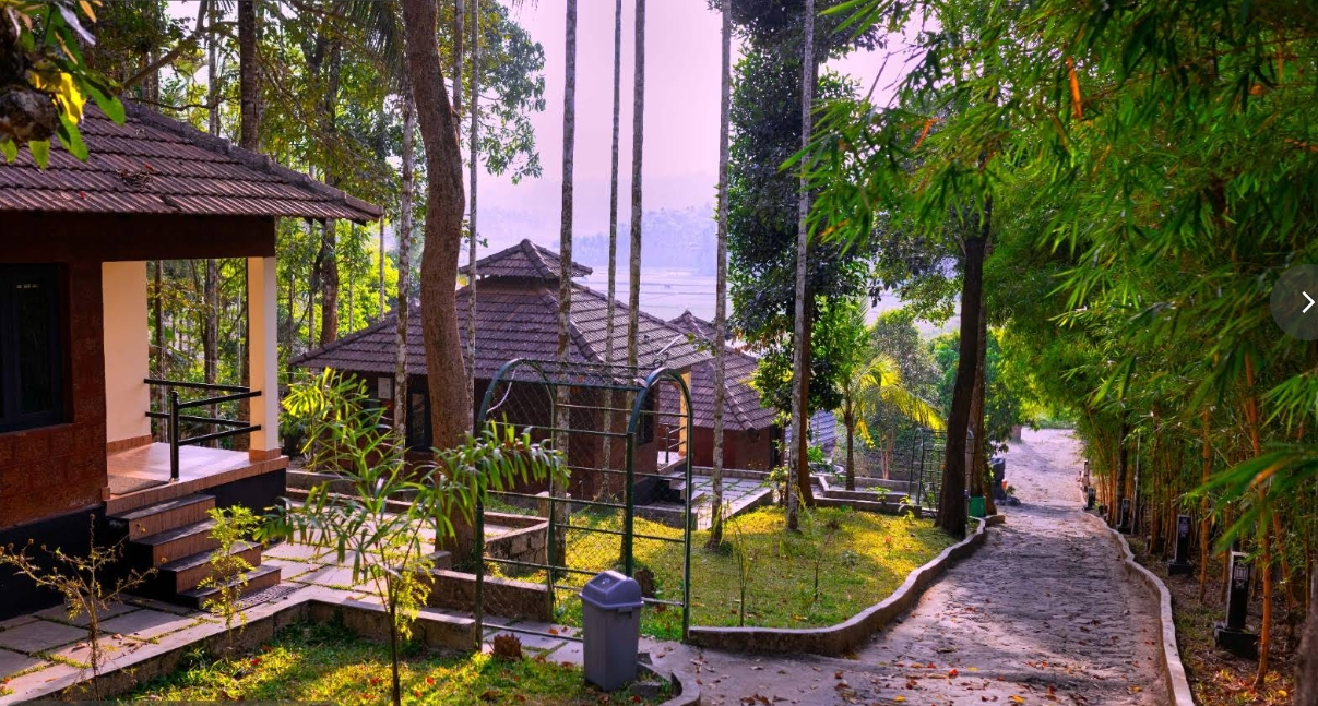 Rendezvous Jungle Resort Wayanad