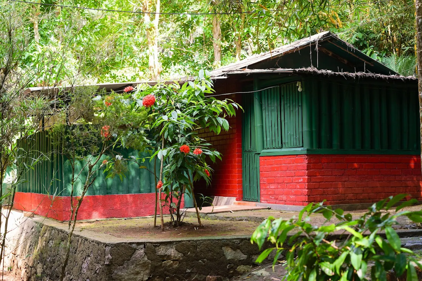 Soochipara Resort Wayanad