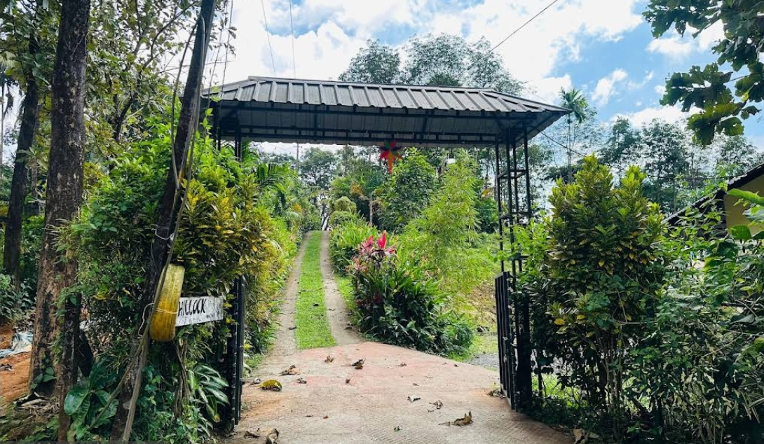 The hillock-quiet by the Mountains Anakkampoyil