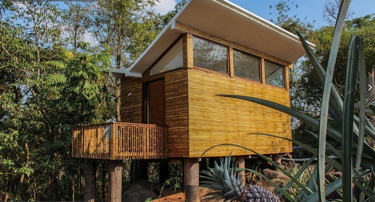 Uravu Bamboo Grove Wayanad